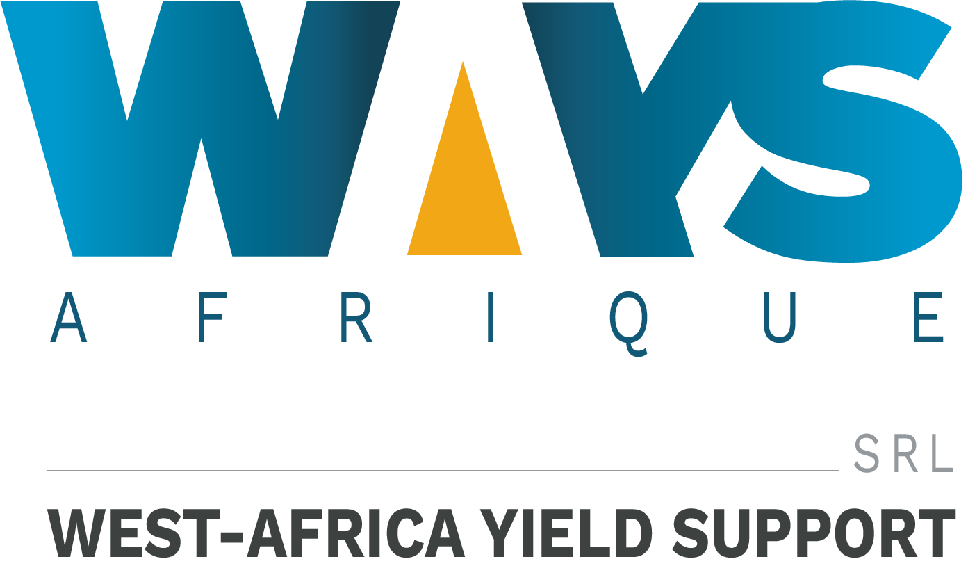 Ways Afrique Logo